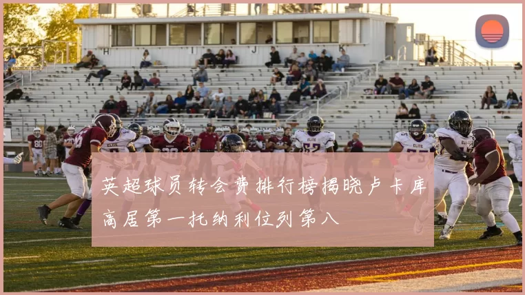 英超球员转会费排行榜揭晓卢卡库高居第一托纳利位列第八